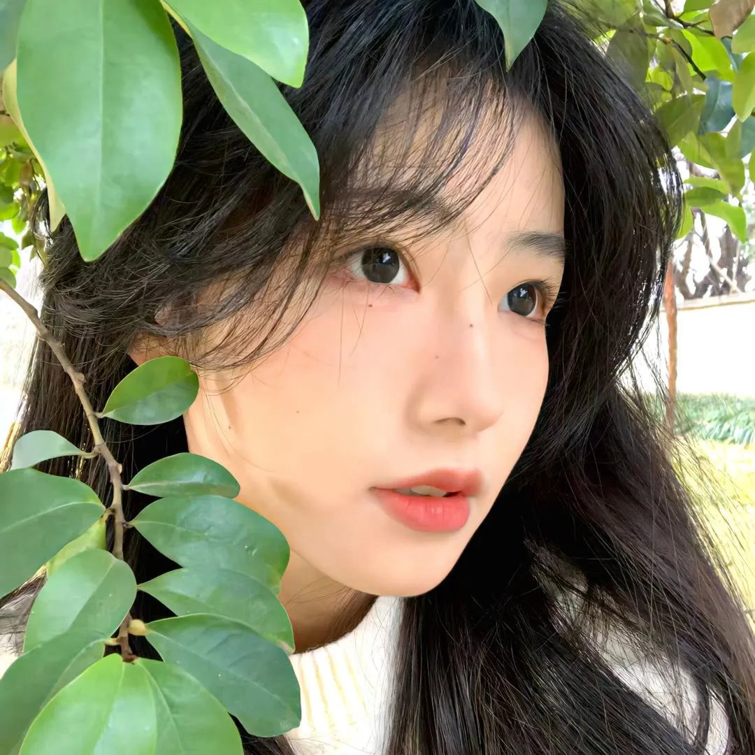 绝命档案